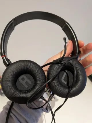 Auriculares Sony Negro/Plateado