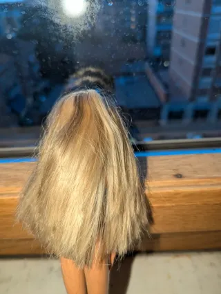 Barbie vintage kipper