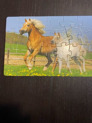 4 Puzzles de caballos en un maletin de lata