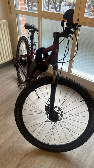 Bicicleta Eléctrica 29”
