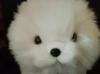 Peluche cachorro bichón maltés  Muy realista NUEVO