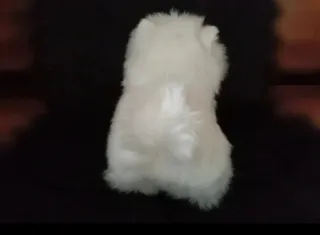 Peluche cachorro bichón maltés  Muy realista NUEVO
