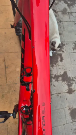 Bicicleta Trek Émonda SL7 Roja