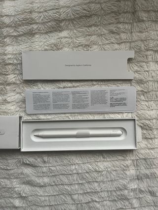 Apple Pencil (USB-C) (precio negociable)