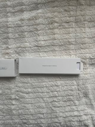 Apple Pencil (USB-C) (precio negociable)