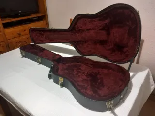 Estuche Rígido Guitarra Godin
