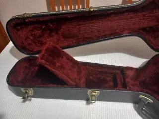 Estuche Rígido Guitarra Godin
