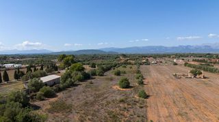 Terreno en venta en Algaida