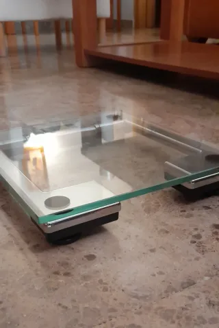 Báscula digital Salter