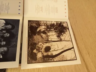 CD Jovenes Flamencos LOTE