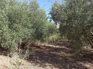 Terreno en venta en Dúrcal