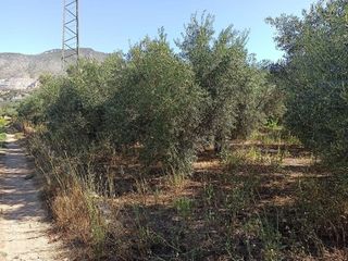 Terreno en venta en Dúrcal