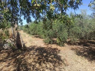 Terreno en venta en Dúrcal