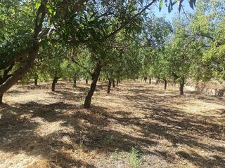 Terreno en venta en Dúrcal