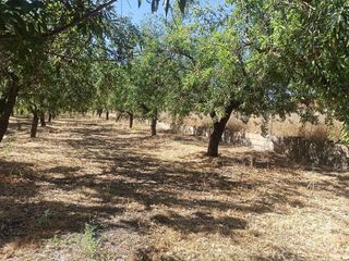 Terreno en venta en Dúrcal