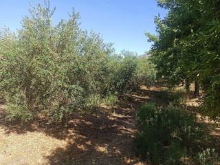 Terreno en venta en Dúrcal