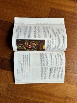 Religion Catolica 8 Egb