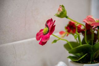 Piso en venta en Astillero (El)