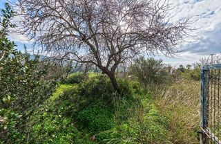 Terreno en venta en Calvià en Calvià