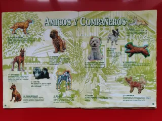 Álbumes Bollycao: Amigos y Colegas + Tu mejor amig