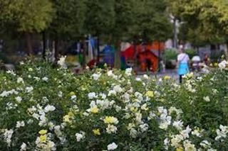 Local comercial en venta en Parc Central en Torrent