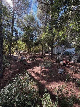 Casa rural en venta en Santa Maria de Trassierra en Córdoba