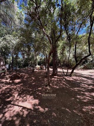 Casa rural en venta en Santa Maria de Trassierra en Córdoba