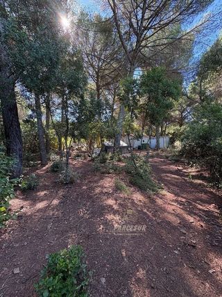 Casa rural en venta en Santa Maria de Trassierra en Córdoba