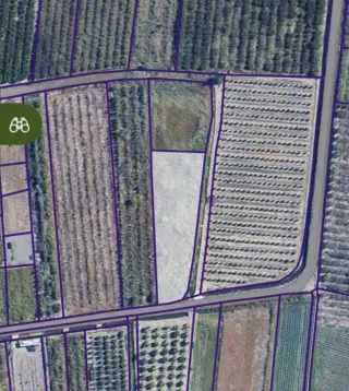 Terreno rústico almenara