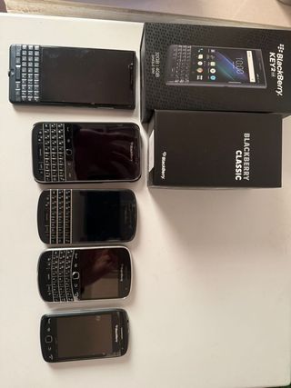 Lote 5 Blackberry