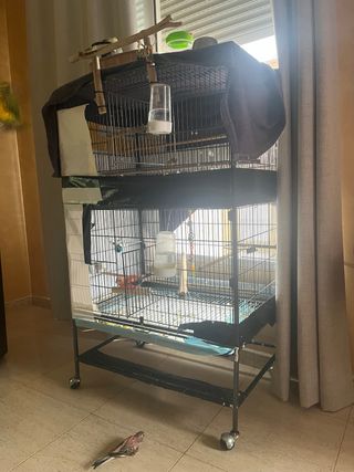 Jaula para pájaros doble