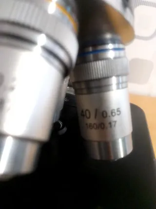 Microscopio Optika b-120