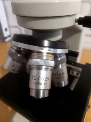 Microscopio Optika b-120