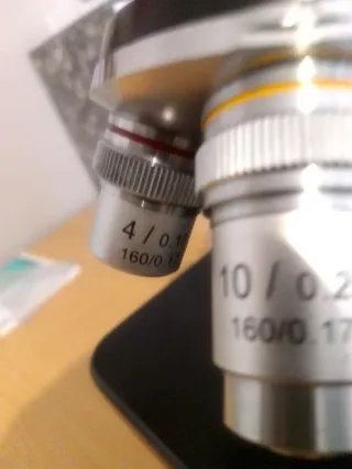 Microscopio Optika b-120