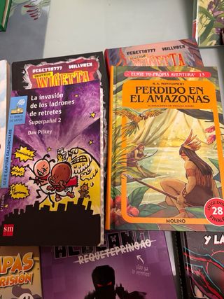 Libros El diario de greg Minecraf Los compa ..