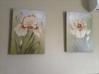 2 Cuadros Florales