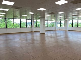 Oficina en alquiler en El Soto de la Moraleja en Alcobendas