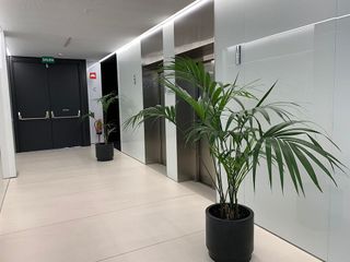 Oficina en alquiler en El Soto de la Moraleja en Alcobendas