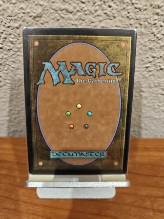 Bruma paradojal / Paradox Haze -  MTG