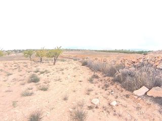 Terreno en venta en Pinós