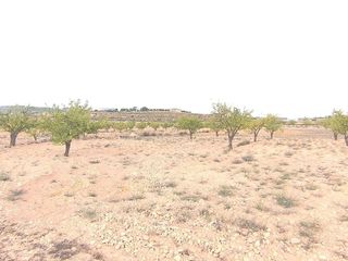 Terreno en venta en Pinós