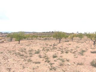 Terreno en venta en Pinós