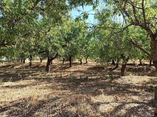 Terreno en venta en Dúrcal