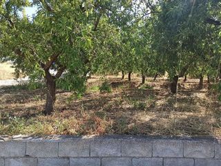 Terreno en venta en Dúrcal