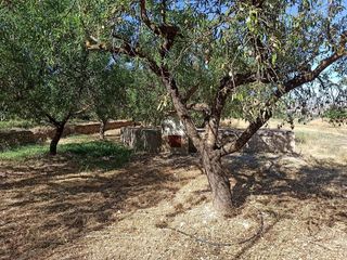 Terreno en venta en Dúrcal