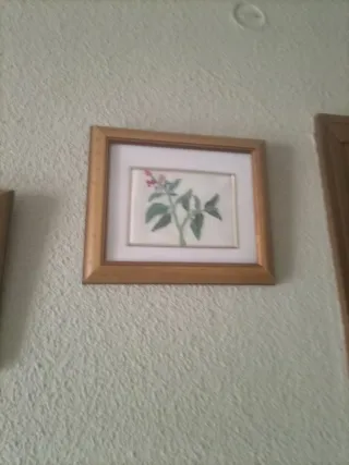 2 Cuadros Flores Moradas y Verdes