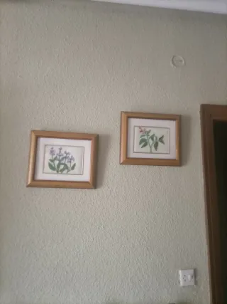 2 Cuadros Flores Moradas y Verdes