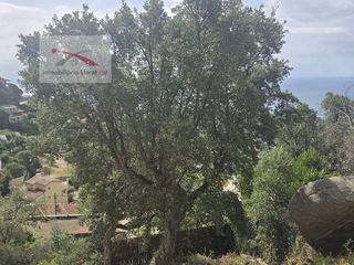 Solar en venta en Roca Grossa - Serra Brava en Lloret de Mar