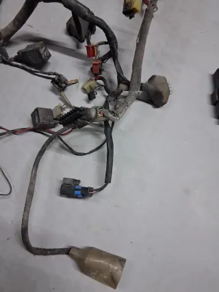 Cableado y centralita Honda cbr 600f3