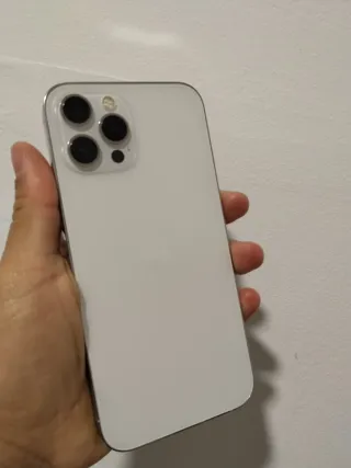 iPhone 12 Pro Max 256GB Plata